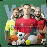 移动端赛程表离线模式图标